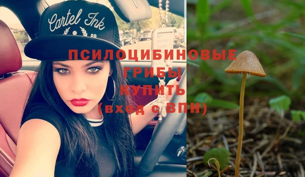 прущая мука Абаза