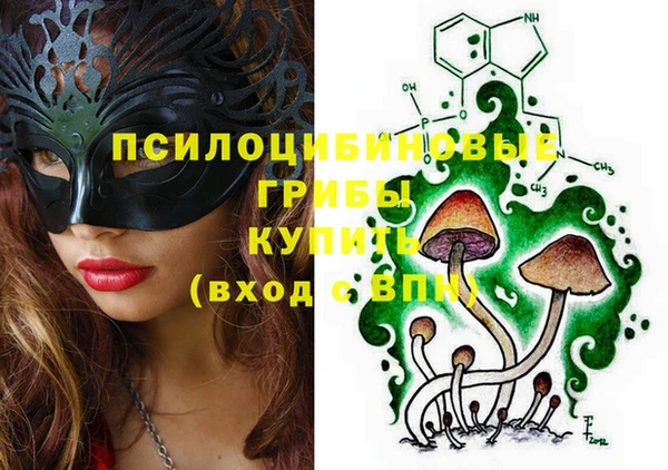 прущая мука Абаза