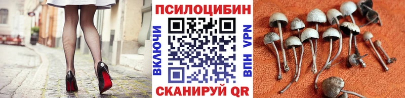 Псилоцибиновые грибы мухоморы  omg зеркало  Краснозаводск 